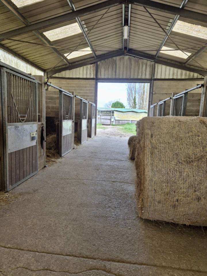 Eigenaren stal Koop Seine-et-Marne