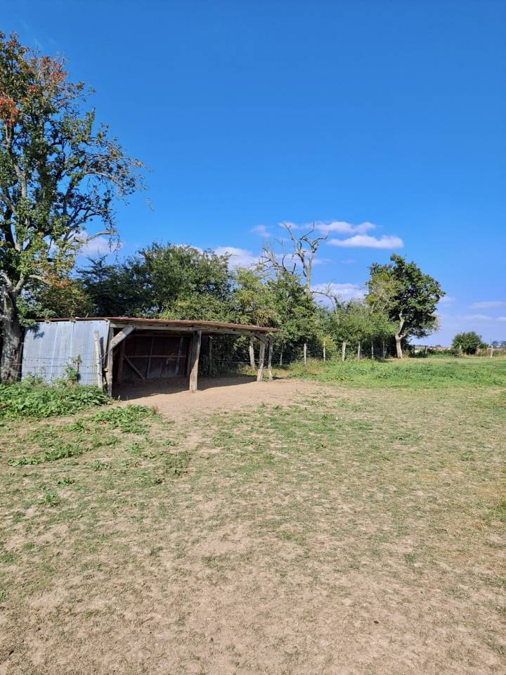 Eigenaren stal Koop Seine-et-Marne