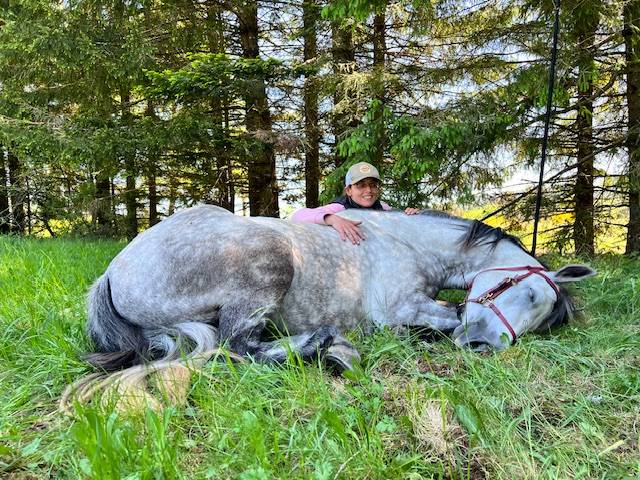 Merrie Connemara Te koop 2017 Schimmel