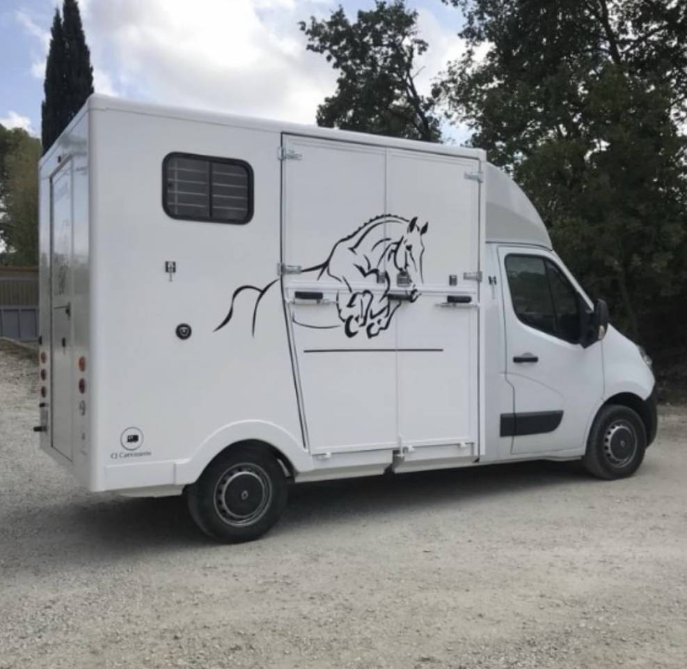 Kleine paardenvrachtwagen (B rijbewijs) Renault Master 2013 Tweedehands