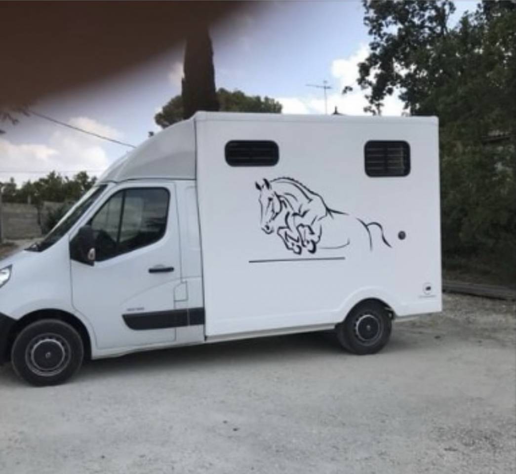 Kleine paardenvrachtwagen (B rijbewijs) Renault Master 2013 Tweedehands