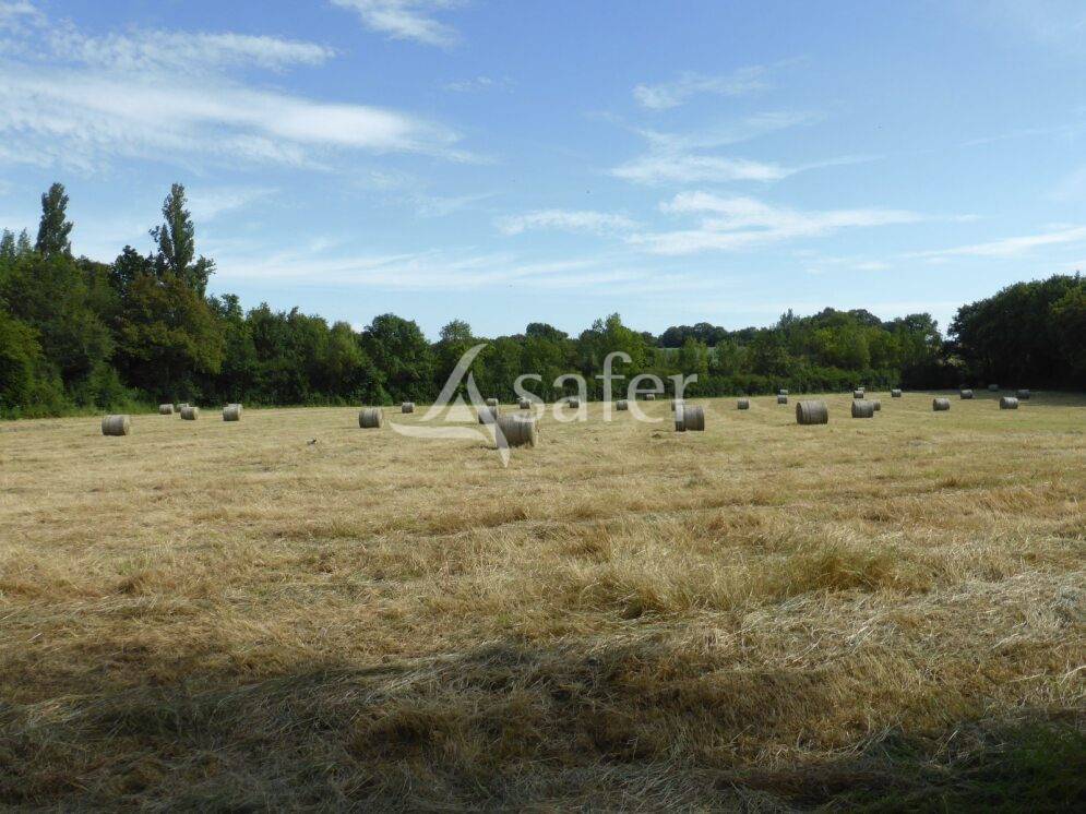 Ander plattelands vastgoed Koop Saône-et-Loire