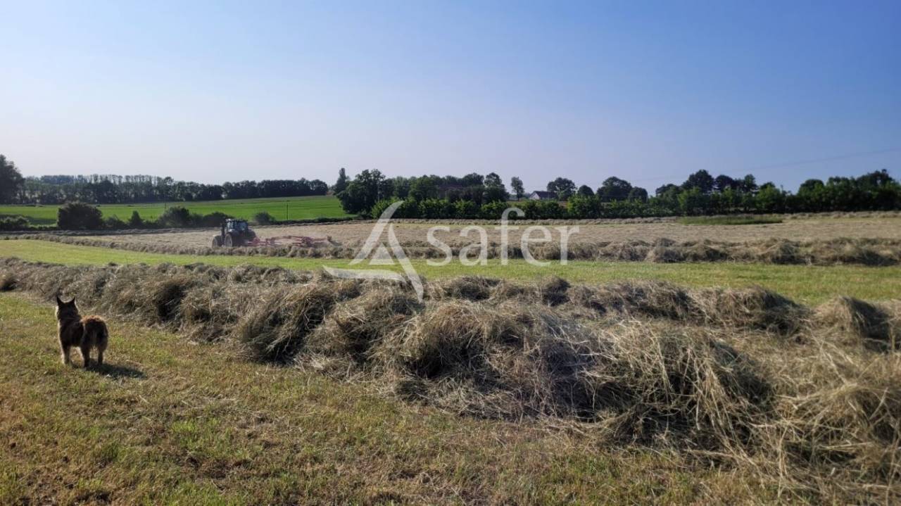 Ander plattelands vastgoed Koop Saône-et-Loire