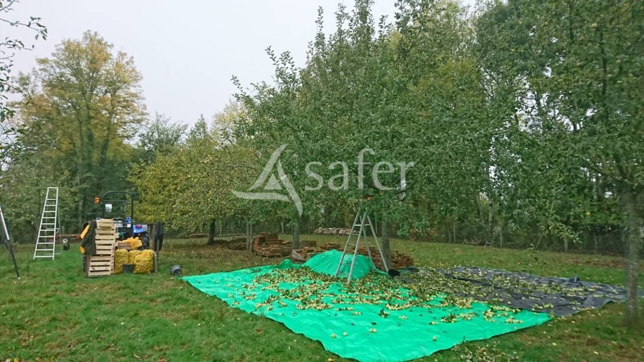 Ander plattelands vastgoed Koop Saône-et-Loire