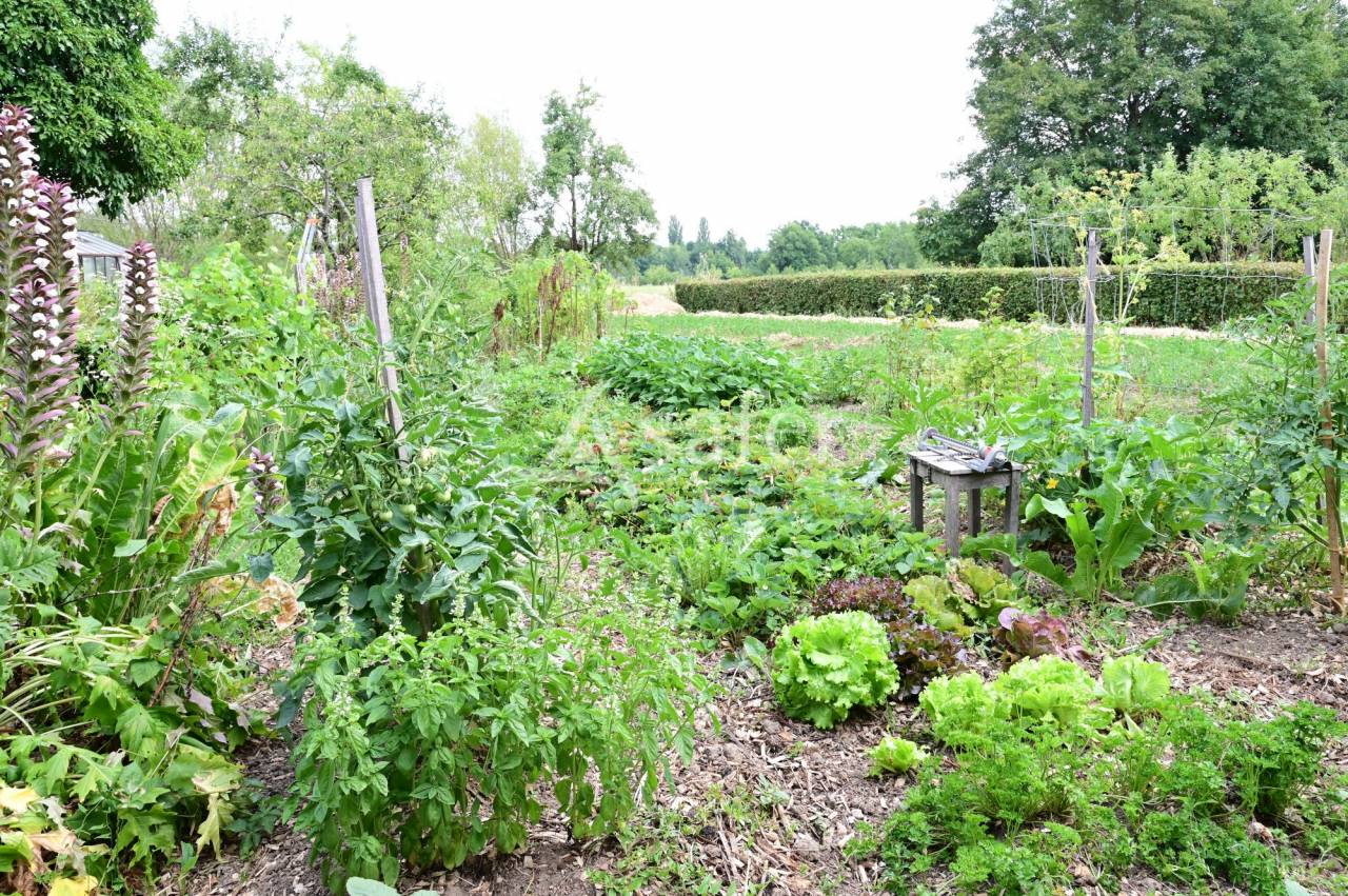 Ander plattelands vastgoed Koop Saône-et-Loire
