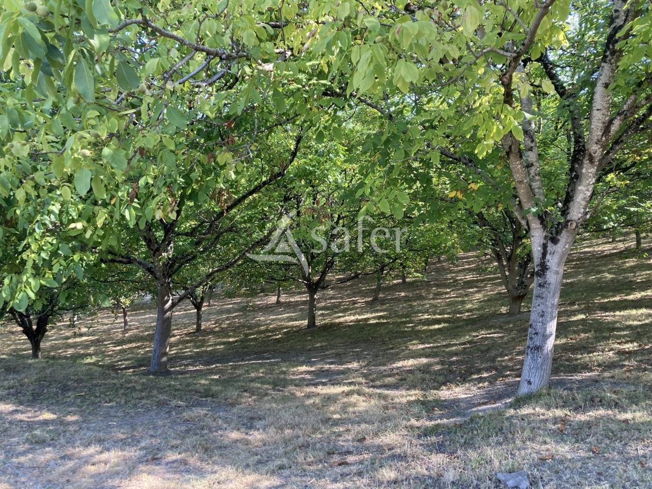 Landbouw bedrijf Koop Lot-et-Garonne