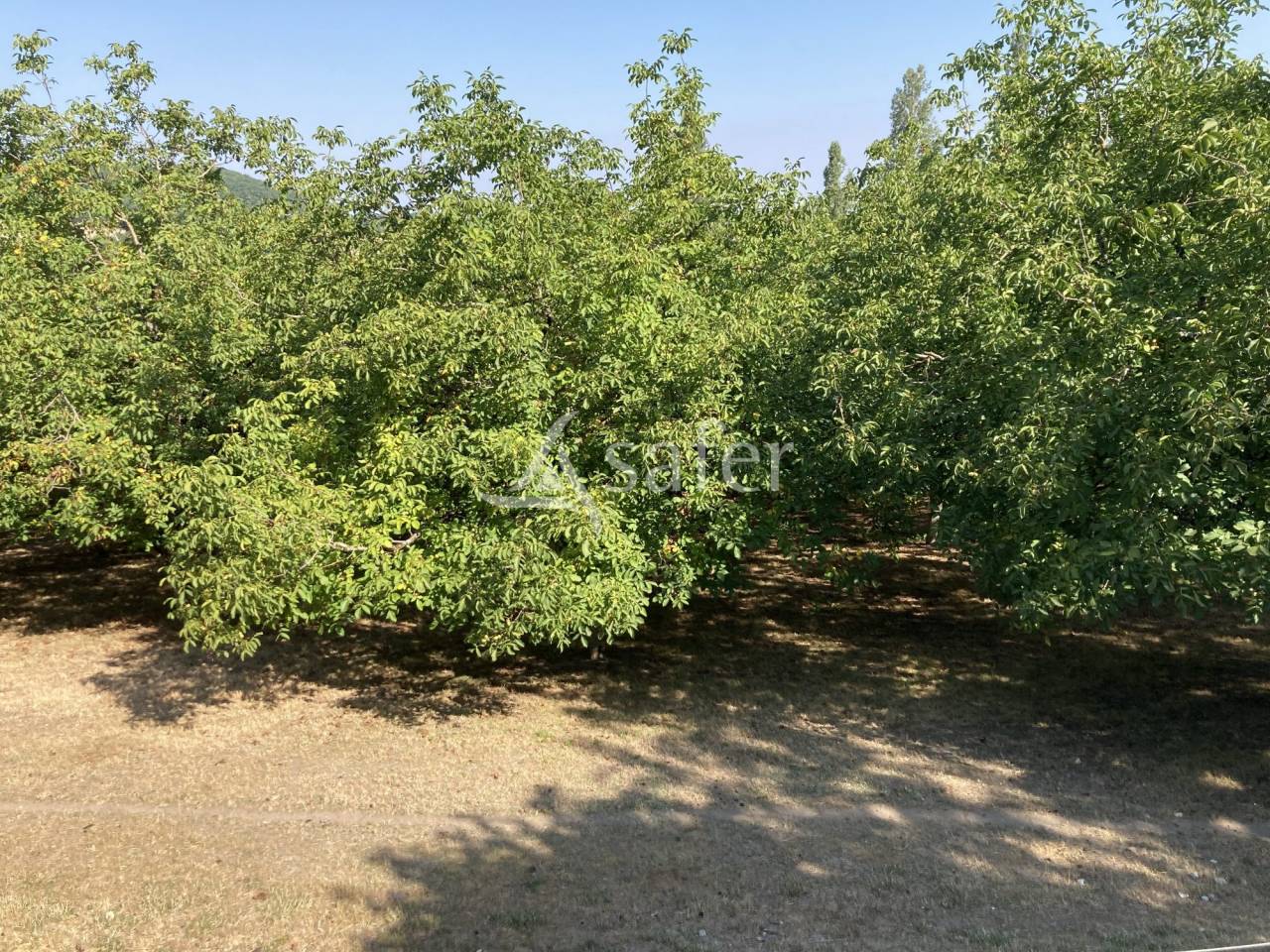 Landbouw bedrijf Koop Lot-et-Garonne