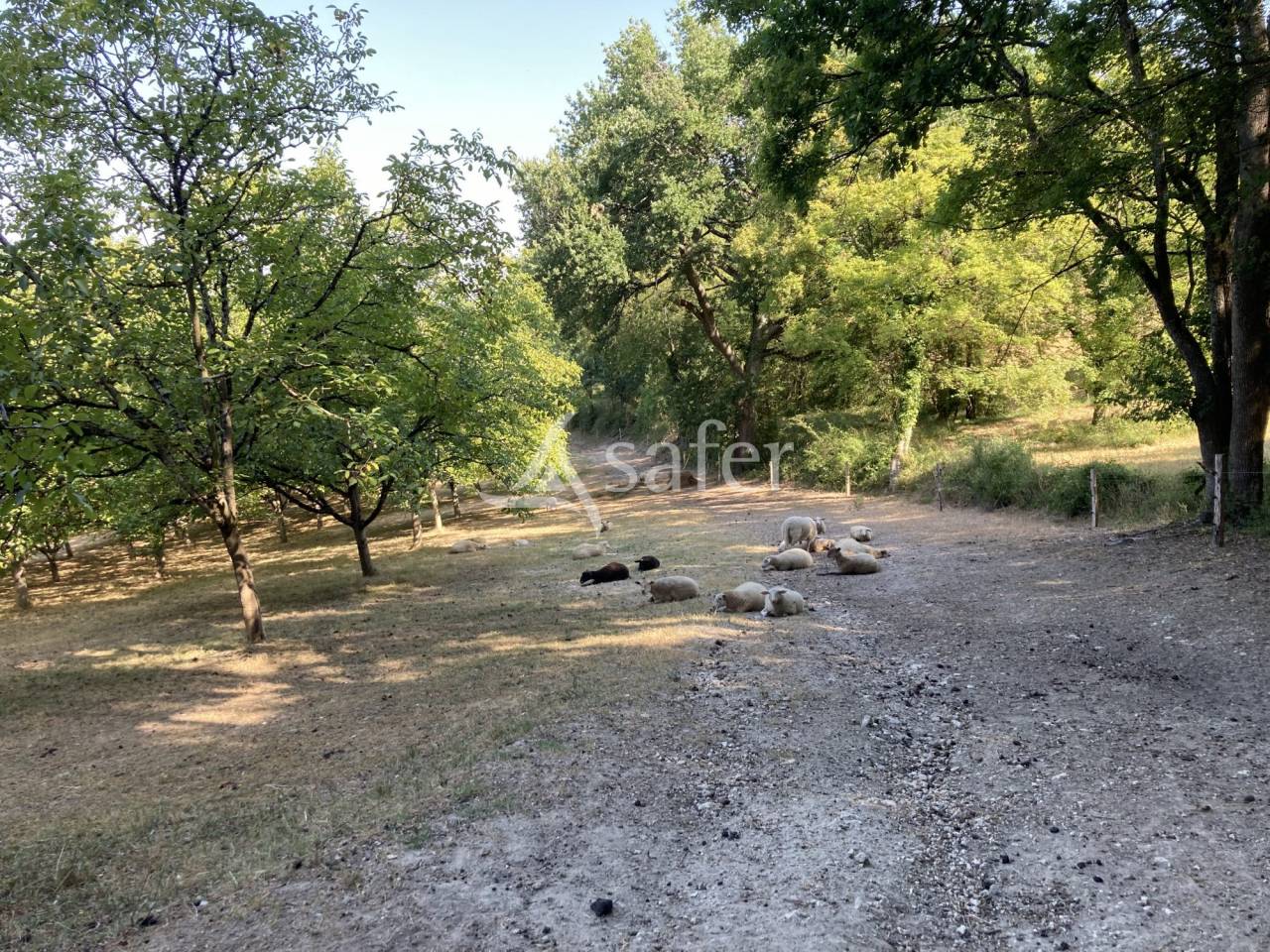 Landbouw bedrijf Koop Lot-et-Garonne
