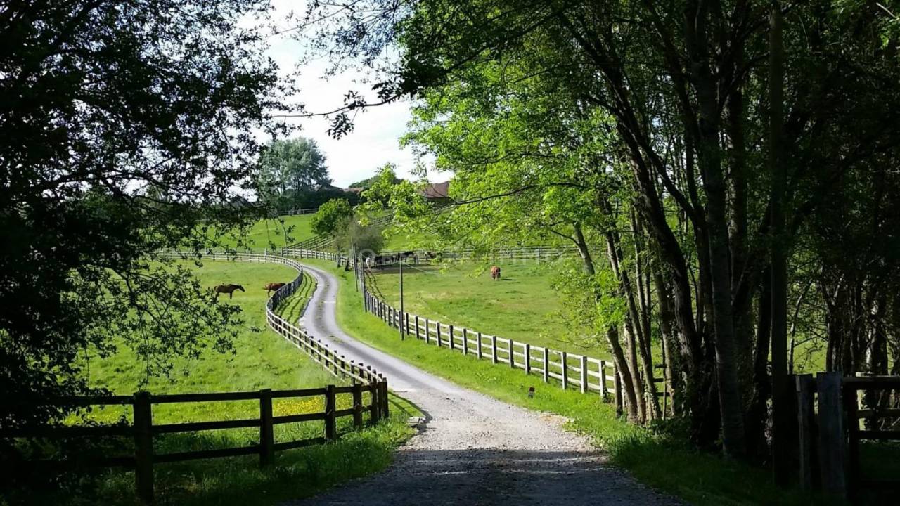 Hippisch vastgoed Koop Orne