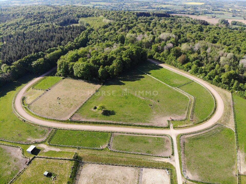 Hippisch vastgoed Koop Orne