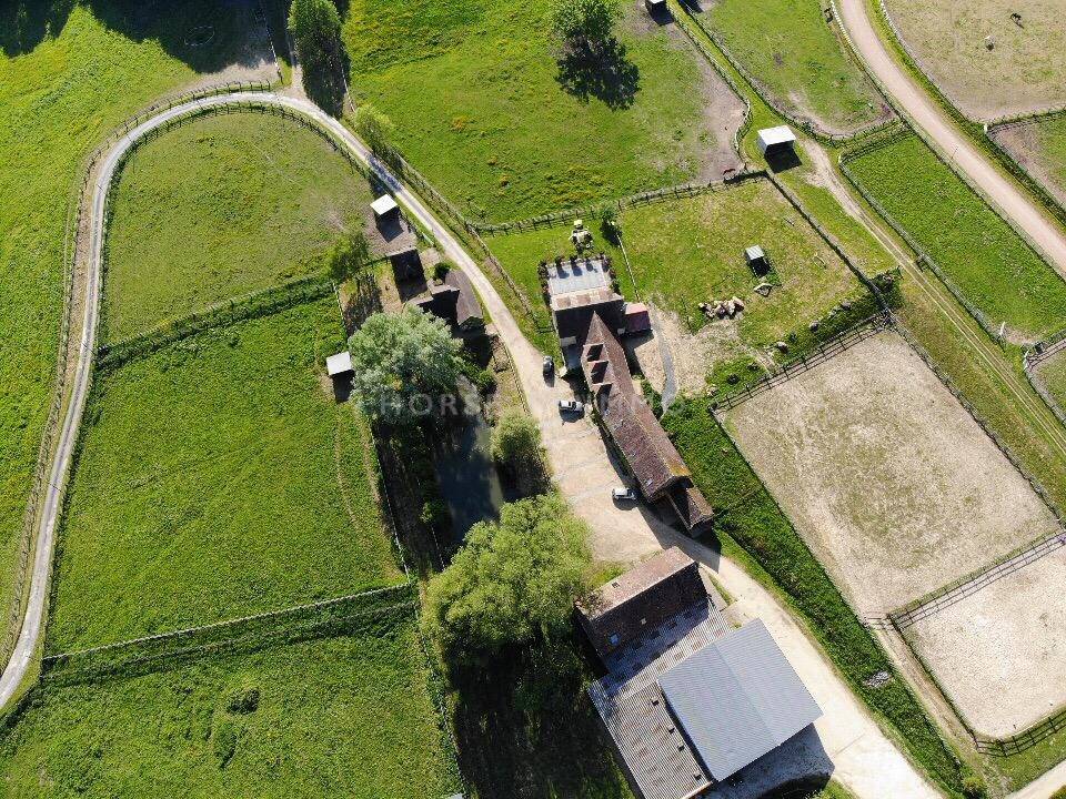 Hippisch vastgoed Koop Orne