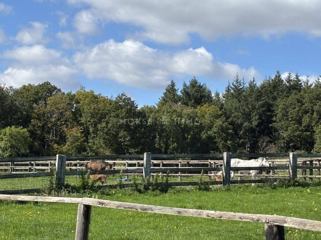 Hippisch vastgoed Koop Orne