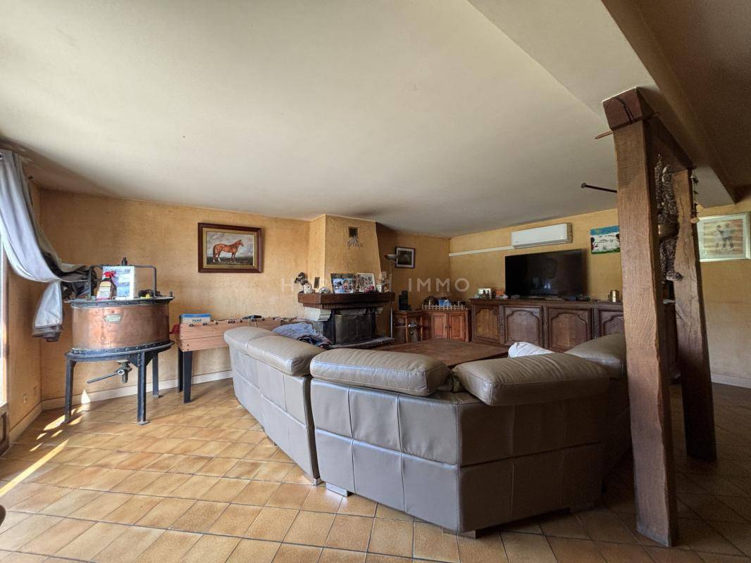 Hippisch vastgoed Koop Orne