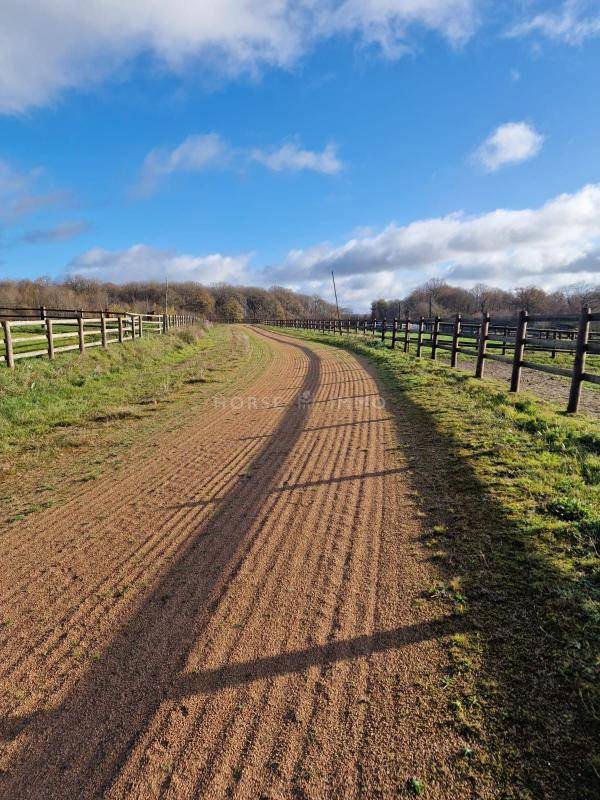 Hippisch vastgoed Koop Orne