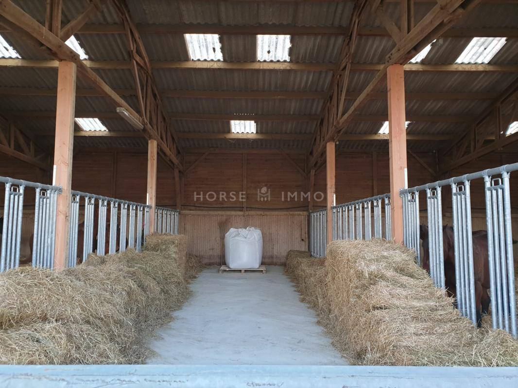 Hippisch vastgoed Koop Orne