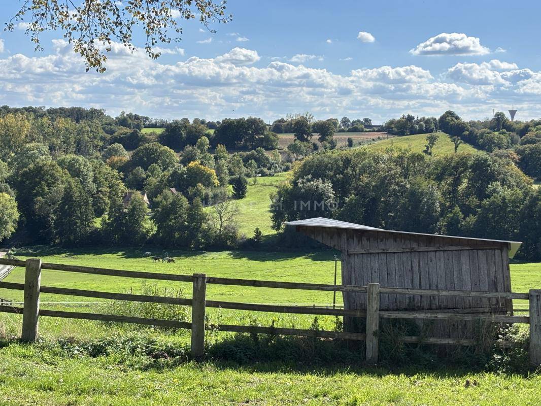 Hippisch vastgoed Koop Orne