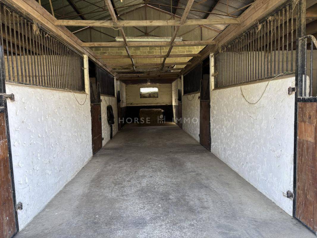 Hippisch vastgoed Koop Orne