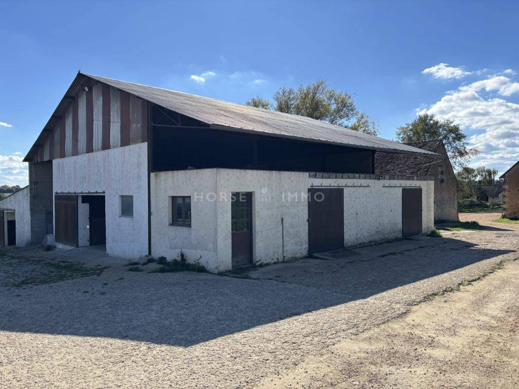 Hippisch vastgoed Koop Orne