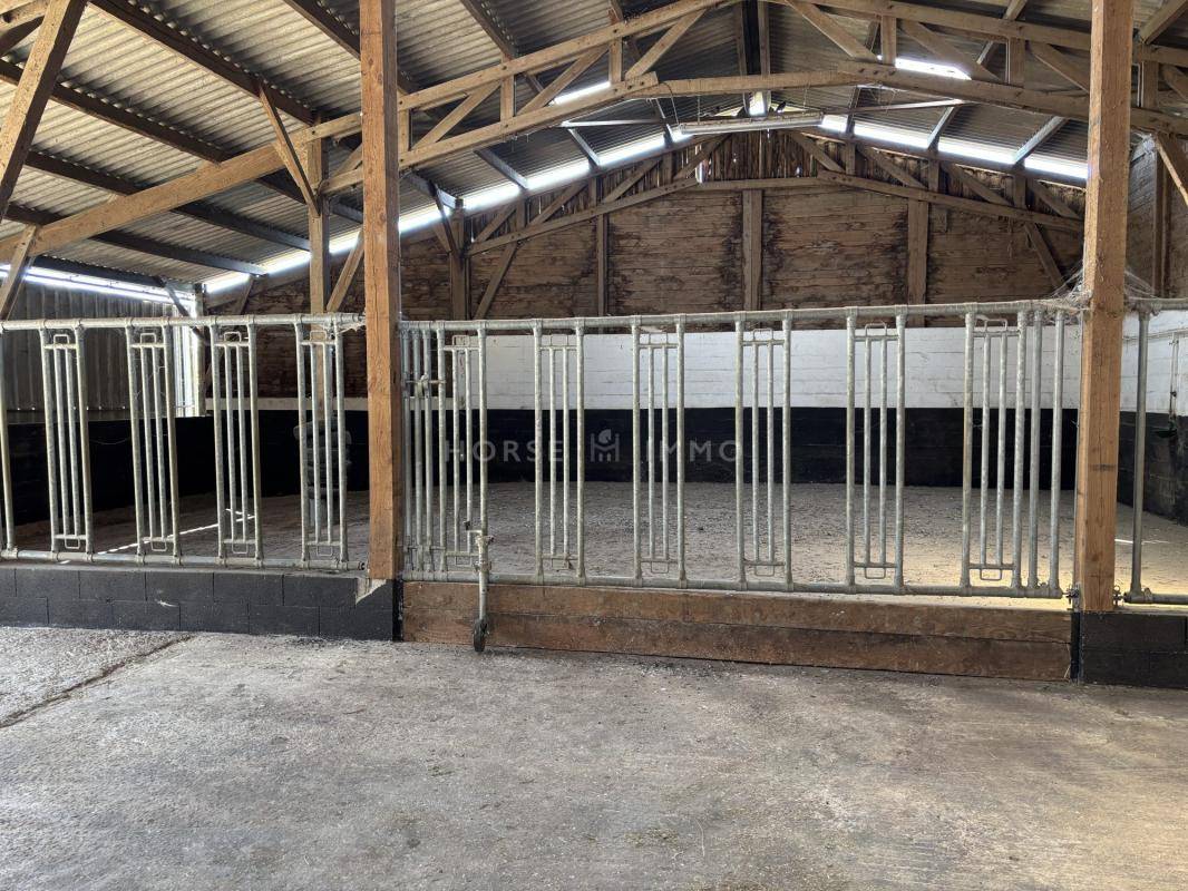 Hippisch vastgoed Koop Orne