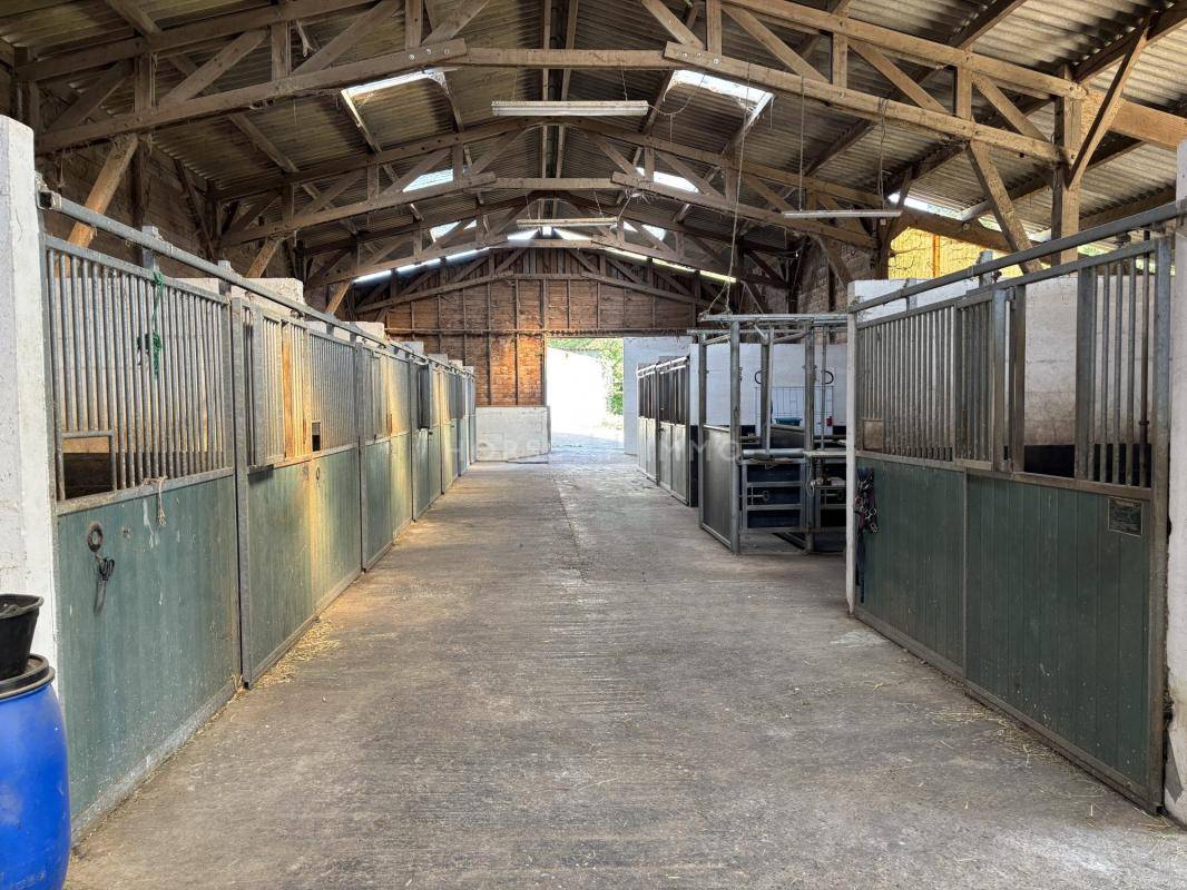 Hippisch vastgoed Koop Orne