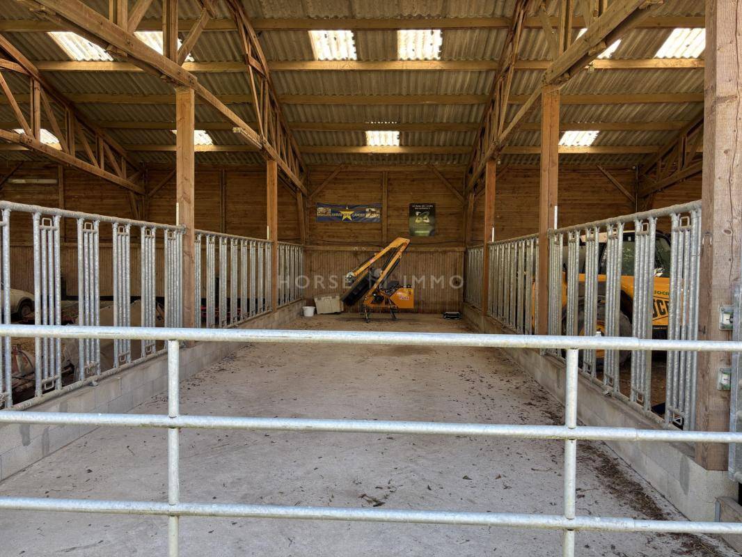 Hippisch vastgoed Koop Orne