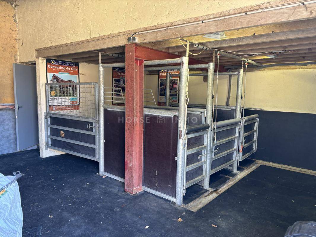 Hippisch vastgoed Koop Orne