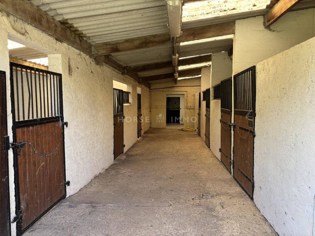 Hippisch vastgoed Koop Orne