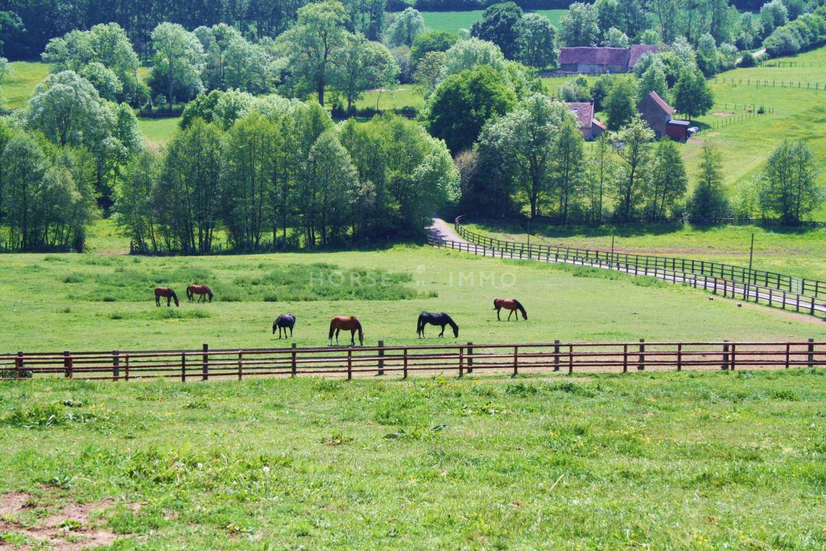 Hippisch vastgoed Koop Orne