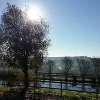 Hippisch vastgoed Koop Orne