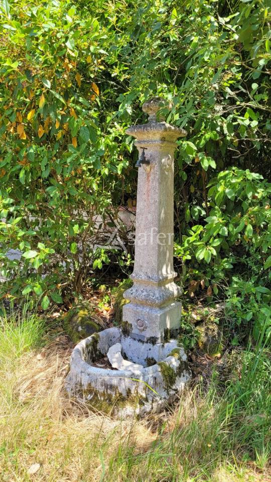 Ander plattelands vastgoed Koop tarn