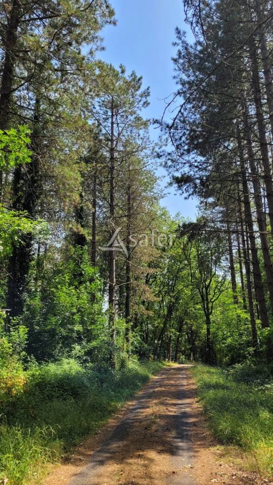 Ander plattelands vastgoed Koop tarn