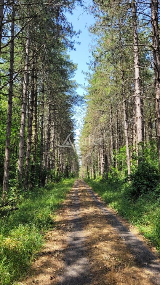 Ander plattelands vastgoed Koop tarn