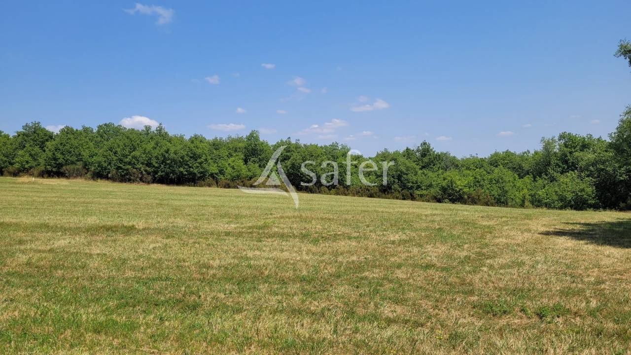 Ander plattelands vastgoed Koop tarn