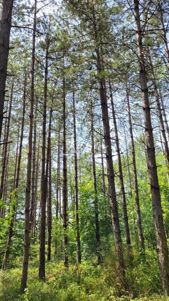 Ander plattelands vastgoed Koop tarn