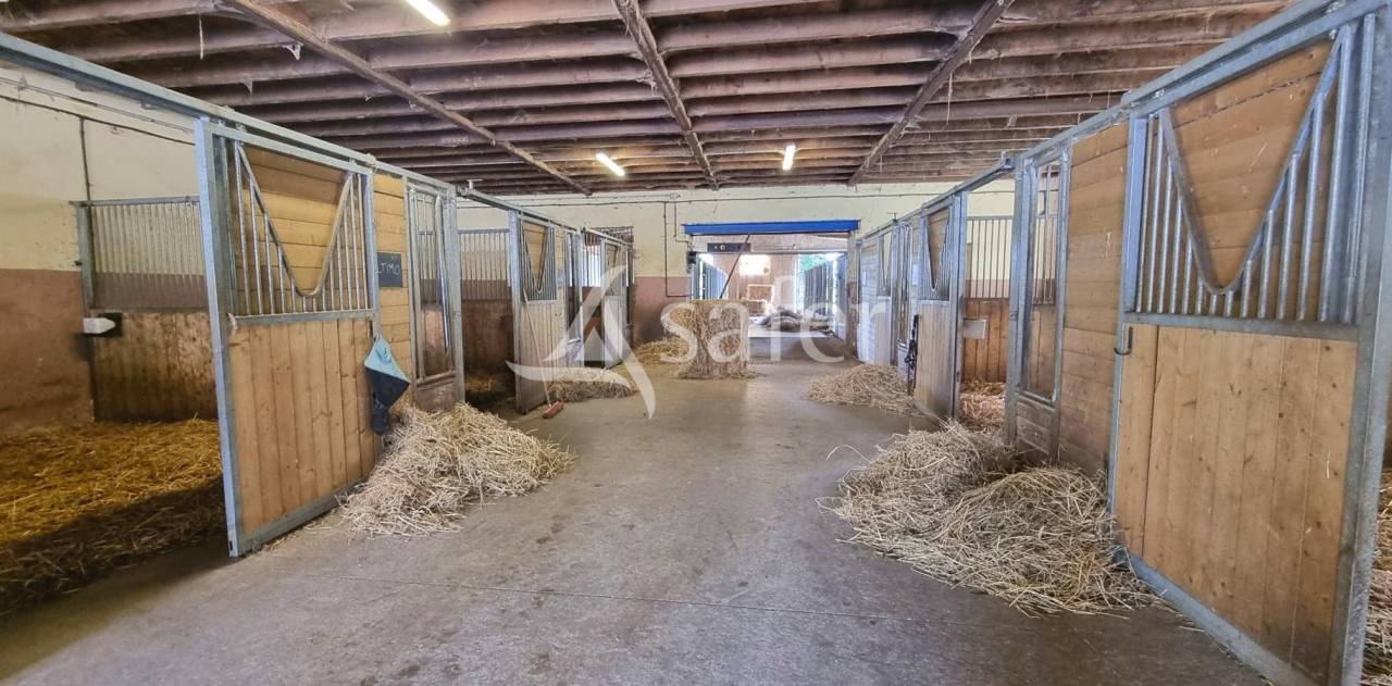 Hippisch vastgoed Koop Aveyron