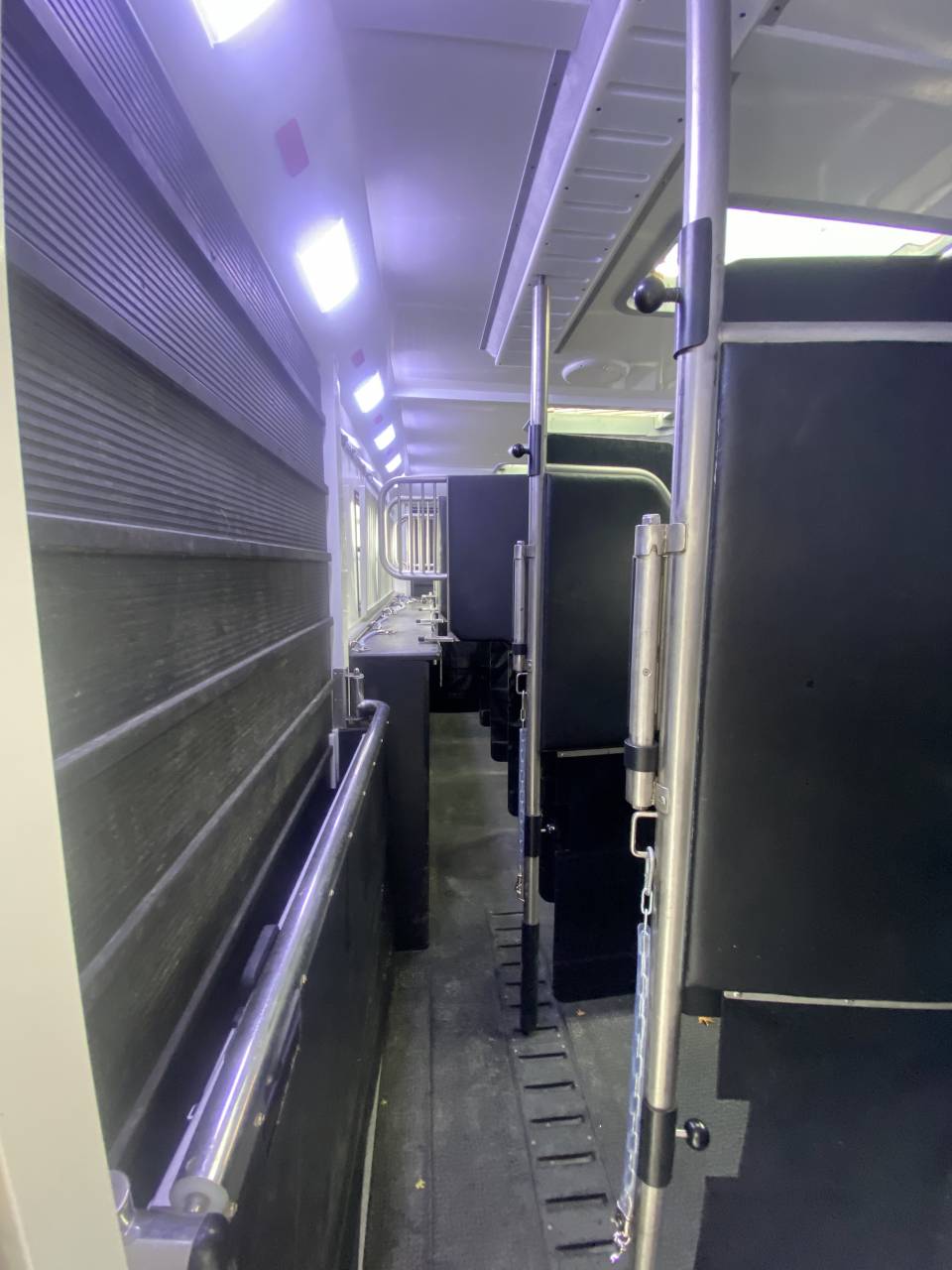 Zware paardenvrachtwagen (groot rijbewijs) AKX  2016 Tweedehands