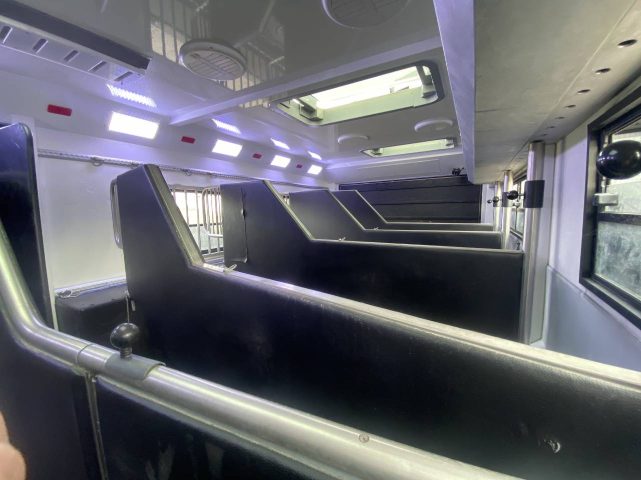 Zware paardenvrachtwagen (groot rijbewijs) AKX  2016 Tweedehands