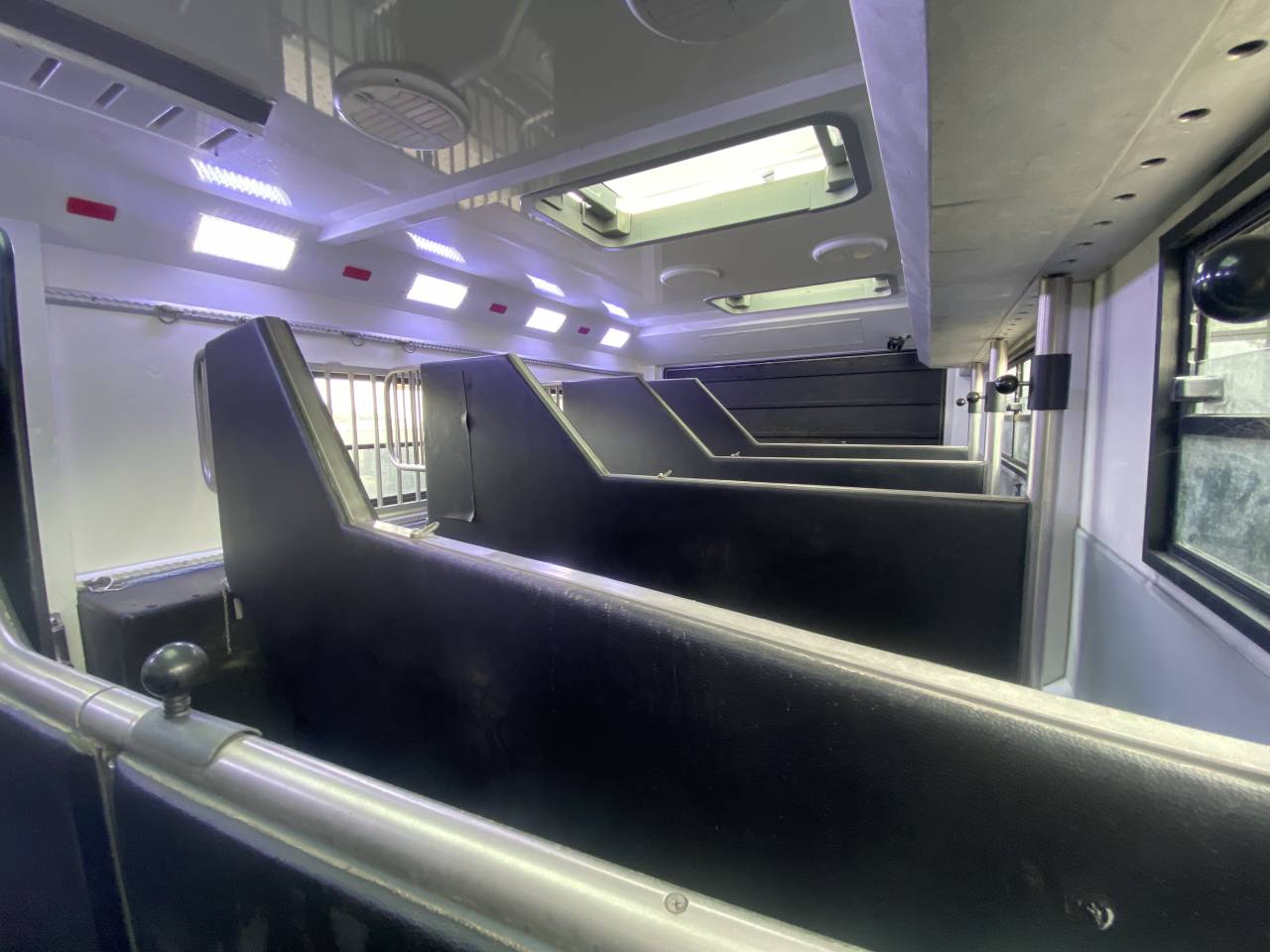 Zware paardenvrachtwagen (groot rijbewijs) AKX  2016 Tweedehands