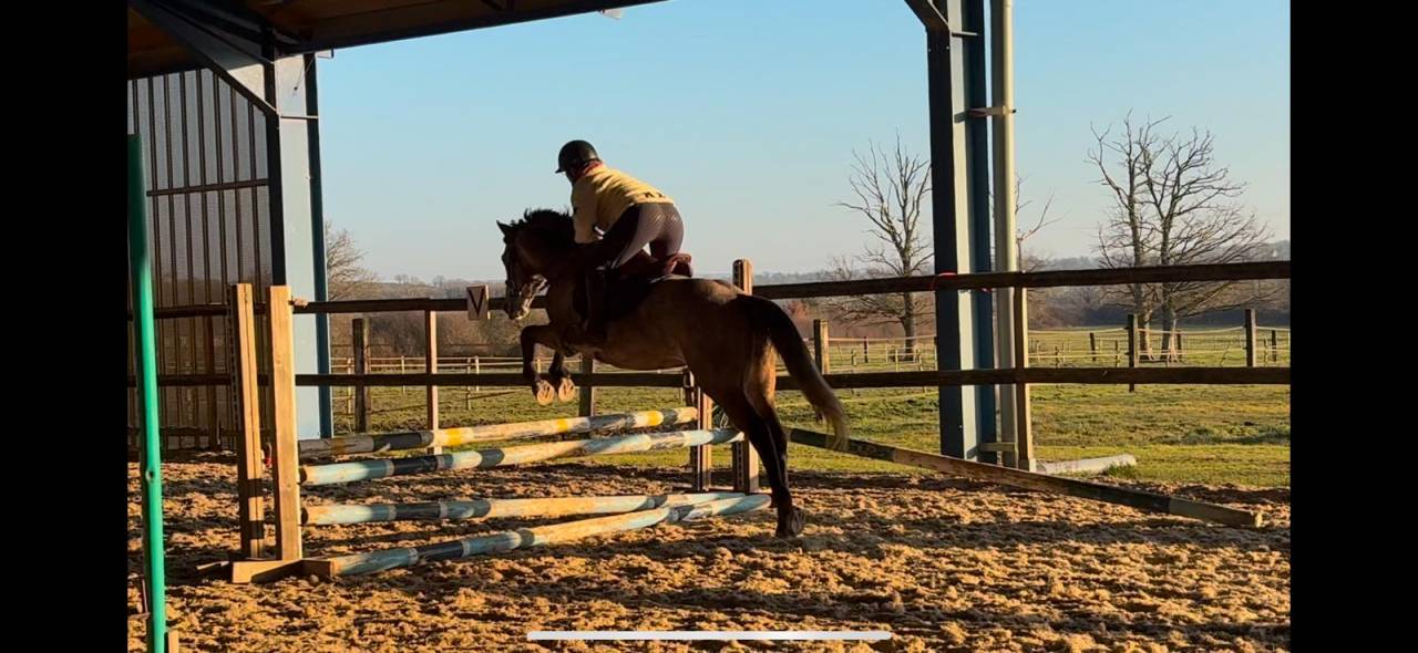 Ruin New Forest Te koop 2020 Schimmel