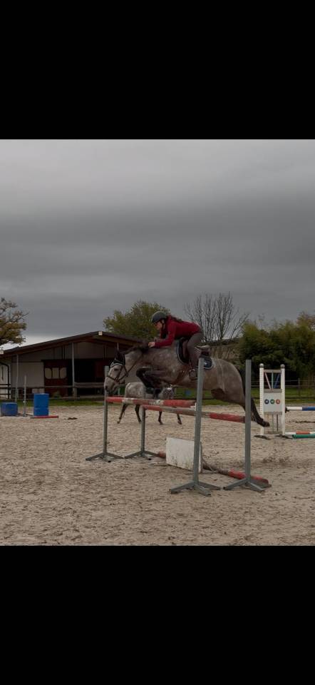 Ruin New Forest Te koop 2020 Schimmel