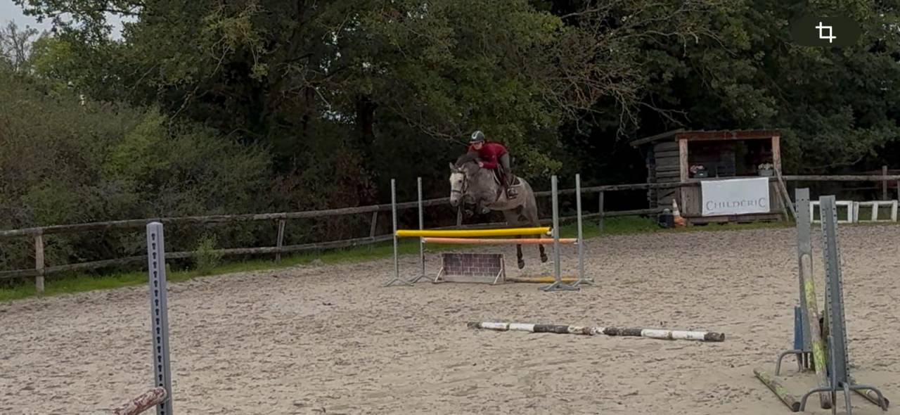 Ruin New Forest Te koop 2020 Schimmel