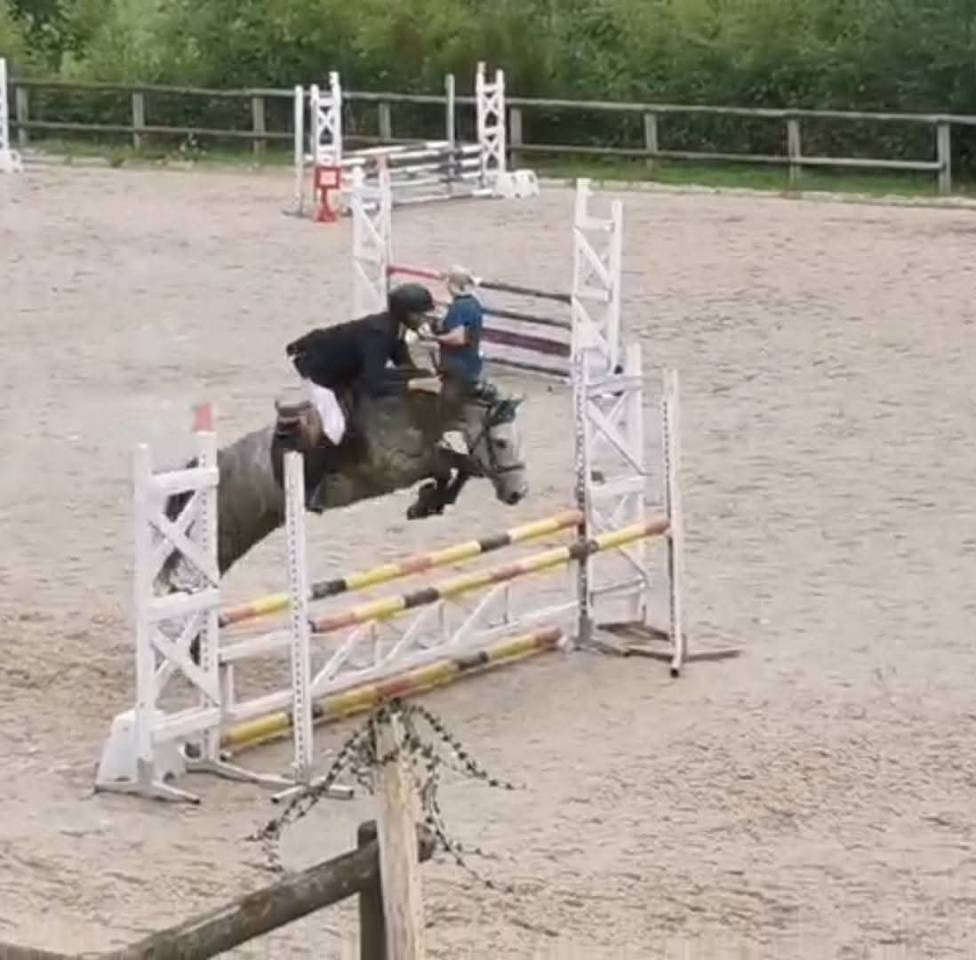 Ruin New Forest Te koop 2020 Schimmel