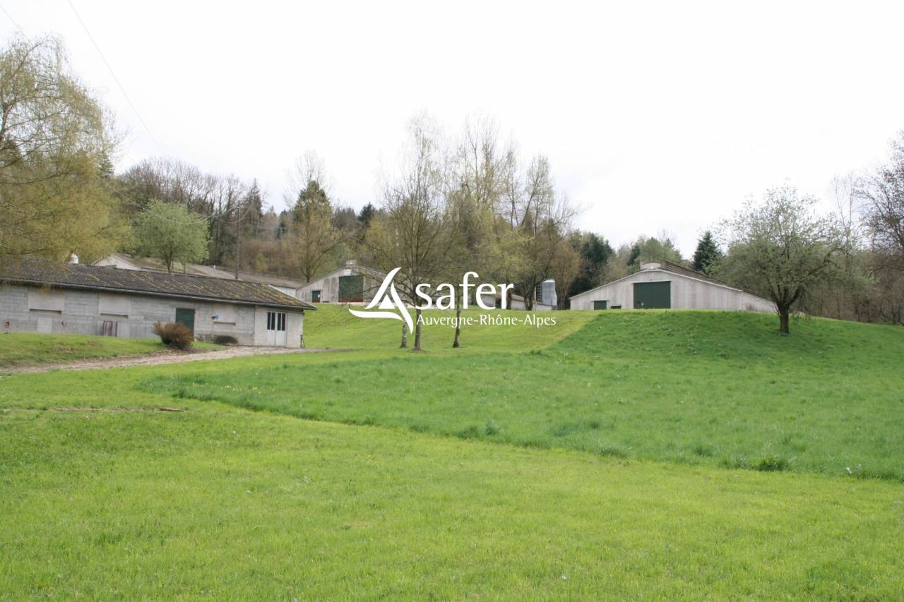 Kippen exploitatie Koop Savoie