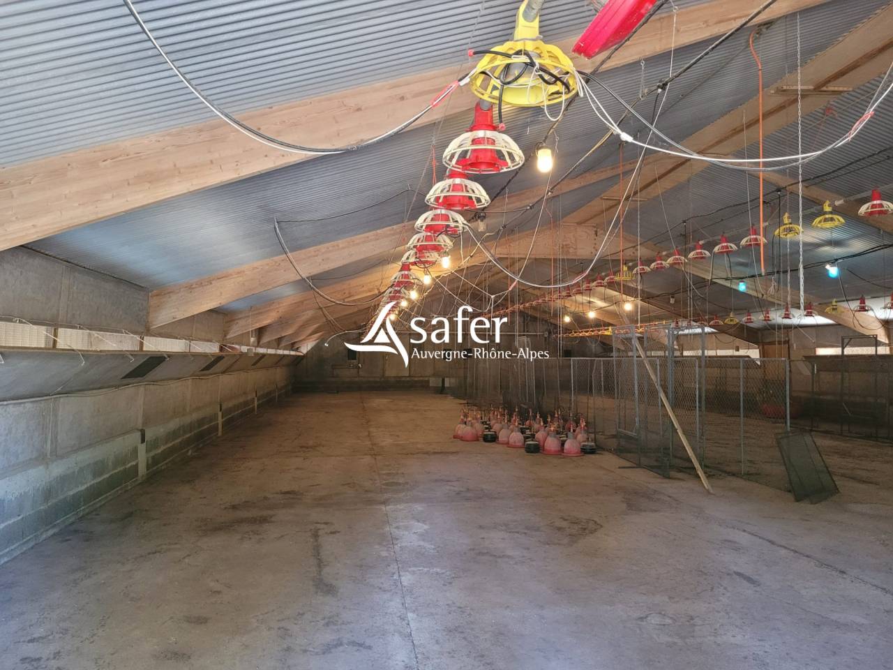 Kippen exploitatie Koop Savoie