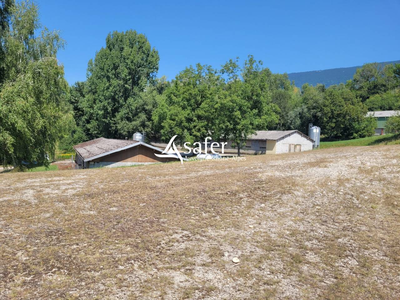 Kippen exploitatie Koop Savoie