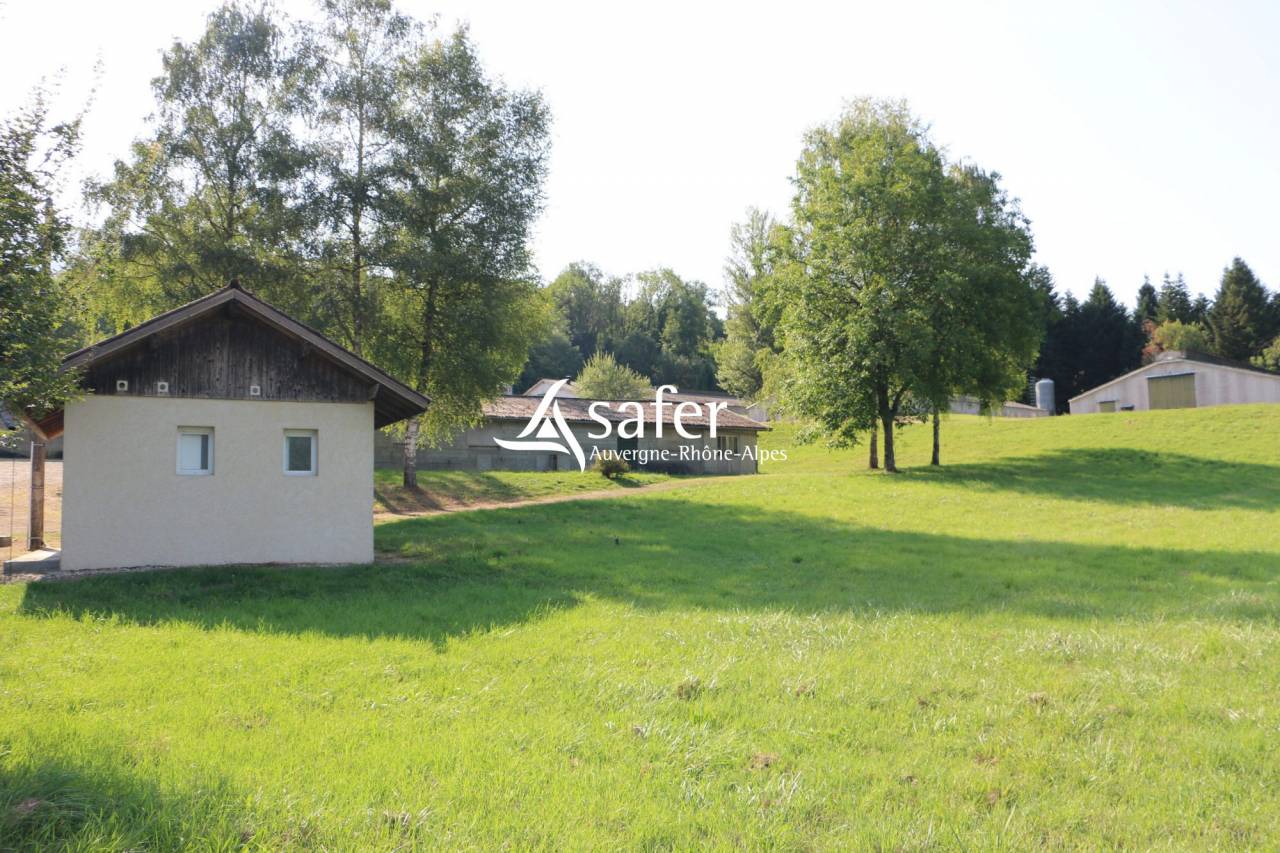 Kippen exploitatie Koop Savoie