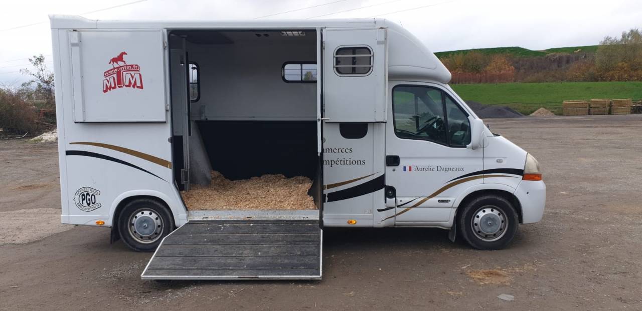 Kleine paardenvrachtwagen (B rijbewijs) Renault Renault Master 2009 Tweedehands