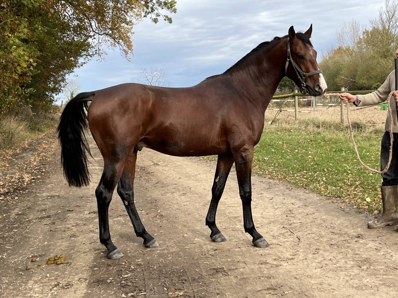 Stagiaire - Stage contract Deeltijds - Calvados Frankrijk