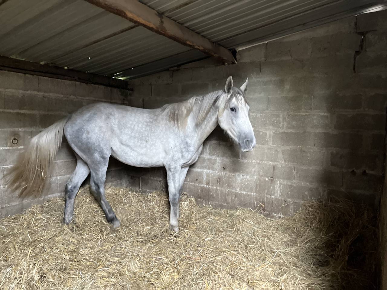 Stagiaire - Stage contract Deeltijds - Calvados Frankrijk