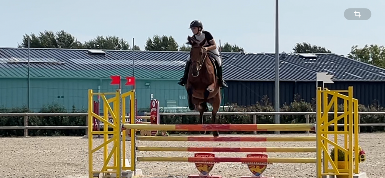 Stagiaire - Stage contract Deeltijds - Calvados Frankrijk